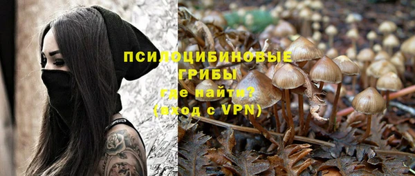 героин Алексин