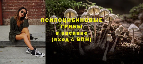 твердый Алексеевка